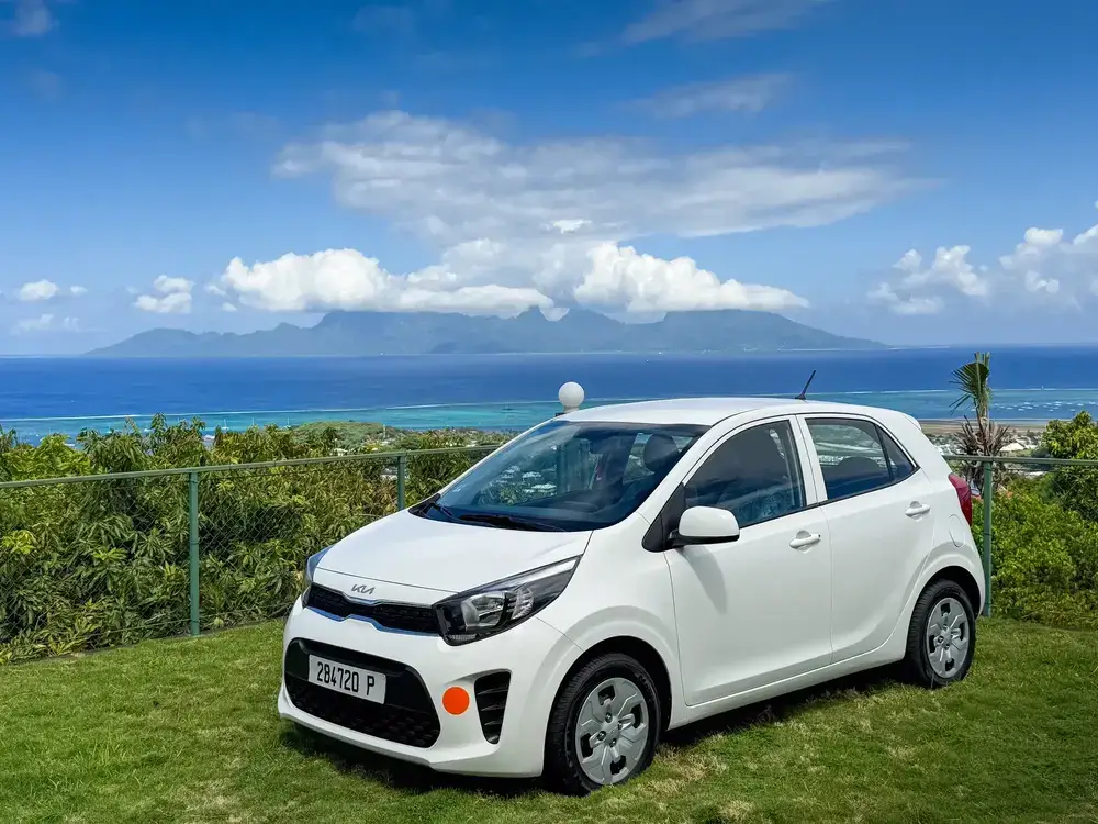 Kia Picanto blanche