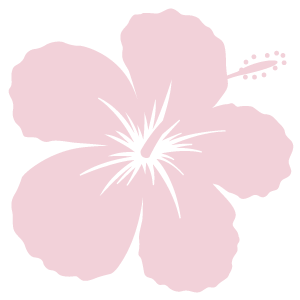 illustration Hibiscus rouge