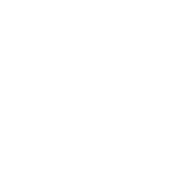 icône whatsapp