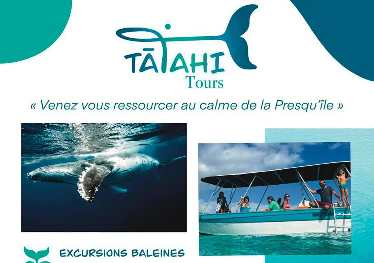 Tatahi Tours, Excursion lagon et sortie baleine
